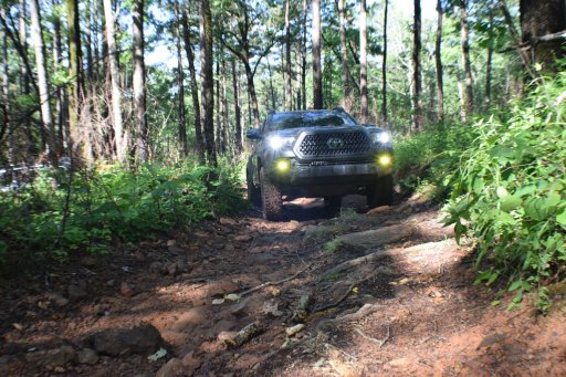 DSC_0450.JPG