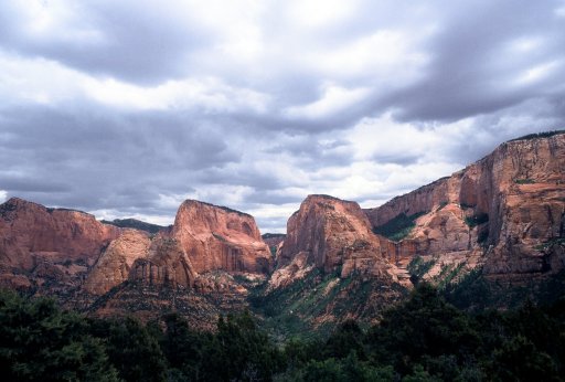 377_Zion Natl Park Utah.jpg