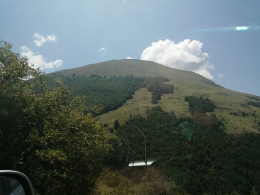 IMG-20190728-WA0005.jpg
