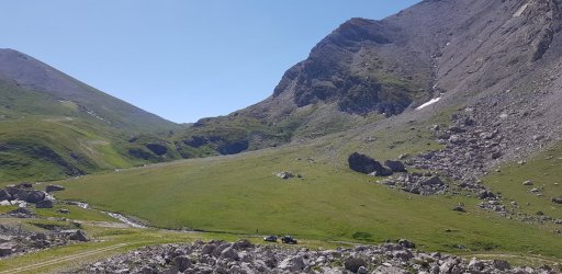 20190723_110434.jpg