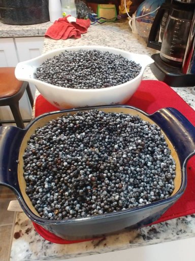 0921192048_HDR.jpeg