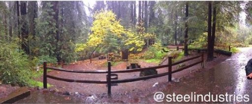 Samuel P Taylor State Park Campground 2016.JPG