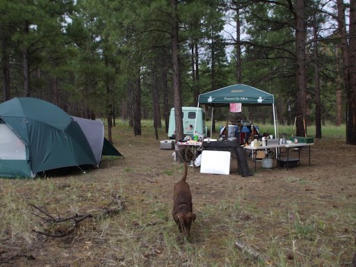camping w:lew.jpg