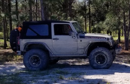 17 Wrangler.jpg