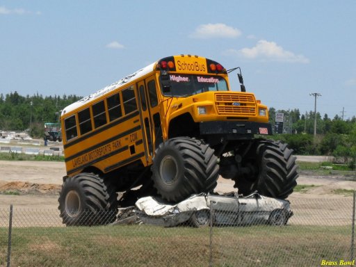 bus.jpg
