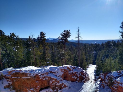 IMG_20191123_135156699_HDR.jpg