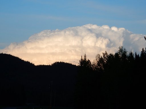 DSCN2241.JPG