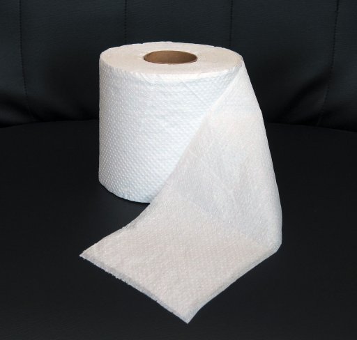 belize-toilet-paper.jpg
