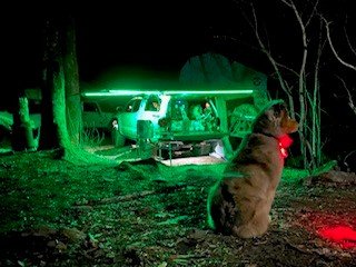 OHG Camp 3.jpg