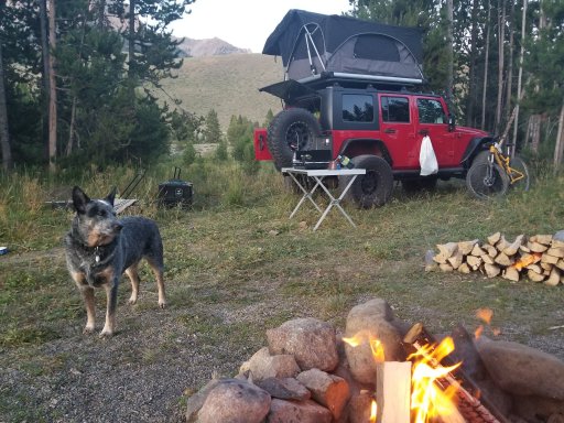 ID Camp Fire Mtn jeep and jax.jpg