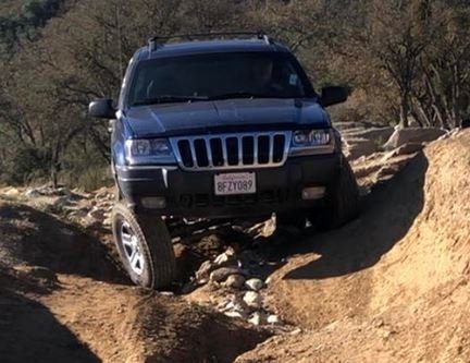 flexed.JPG