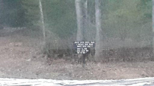 20200201_172115.jpg