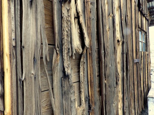 Dry Wood.jpg