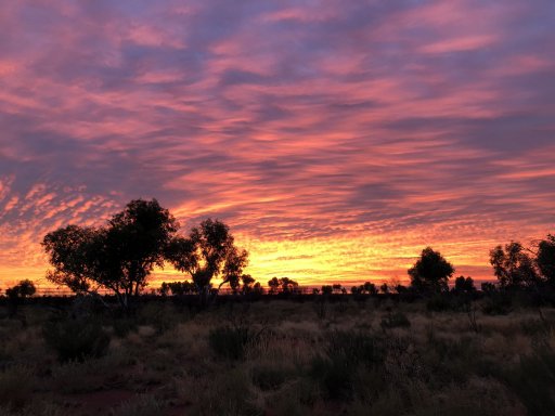 Canning Sunrise IMG_7047.JPG