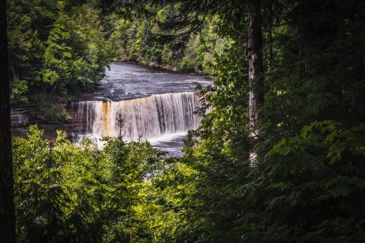 Upper Tahquamenon Falls Through Trees.jpg