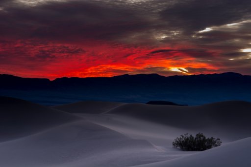 mesquite-sunrise2.jpg