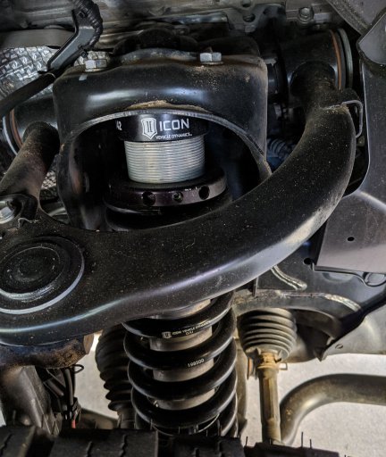 springs_n_shocks_front.JPG