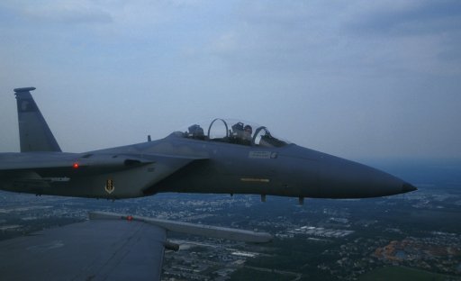 Eagle on wing-01.jpg