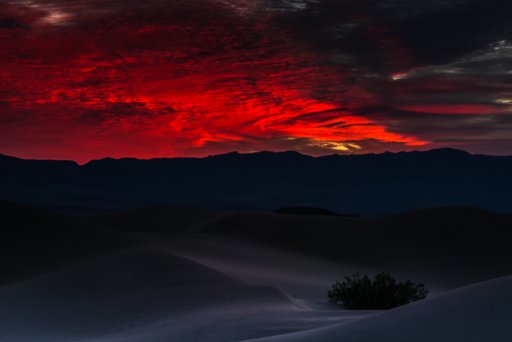 Mesquite sunset.jpg