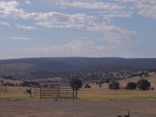 beginning trail head for horses.JPG