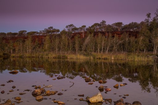 2020-07-26 Landscape - 028-Edit.jpg