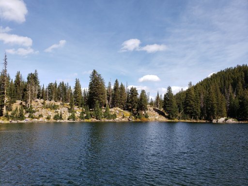 20200926_142439.jpg