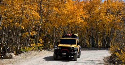 Camo Jeep.jpg