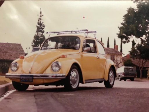 my bug MG_2505.jpg