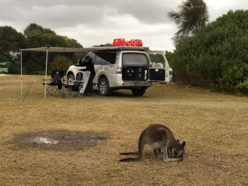 02 Coorong small.jpg