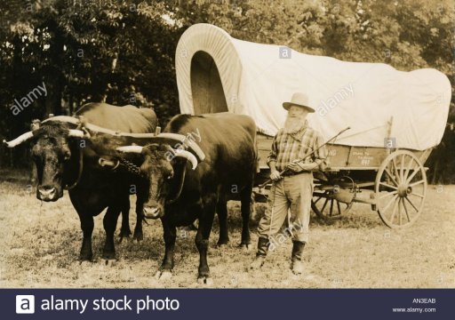 vintage-covered-wagon-with-team-of-oxen-AN3EAB.jpg