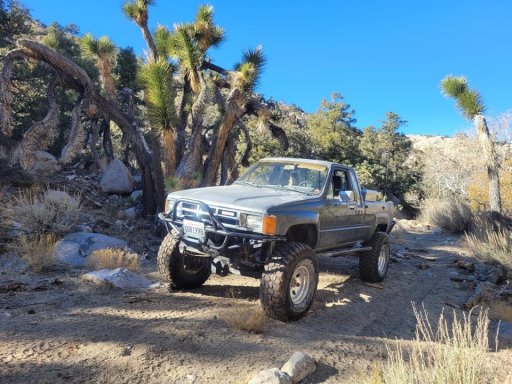 anza borrego.jpg