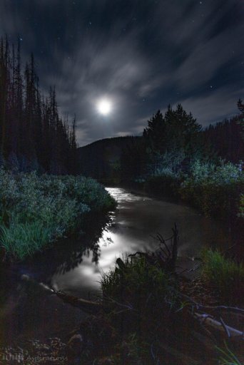 Willow Creek at Night-1.jpg