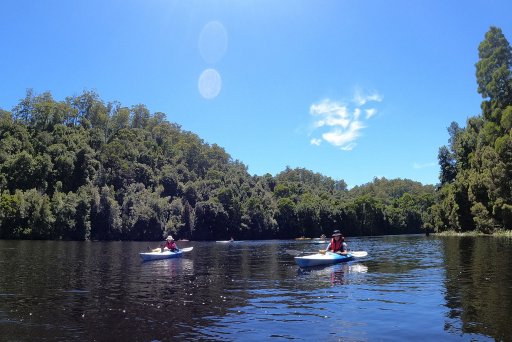 Kyaking_Pieman_River.jpg