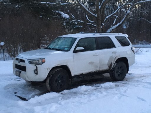 4 runner.jpg