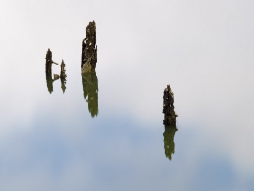 Reflections-#2-20110305.jpg