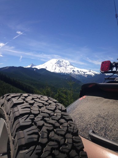 Otis & Mt Rainier.jpg