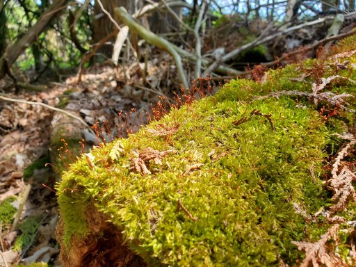 20210516_131712.jpg