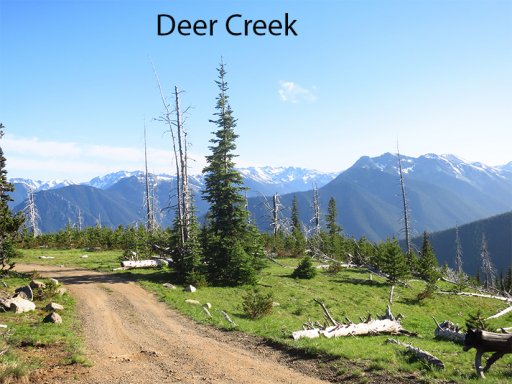 Deer Creek.jpg
