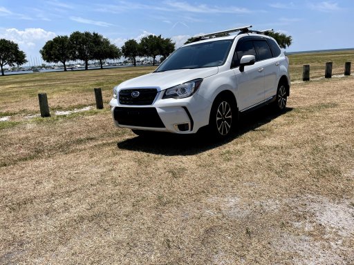 fxt2.jpg