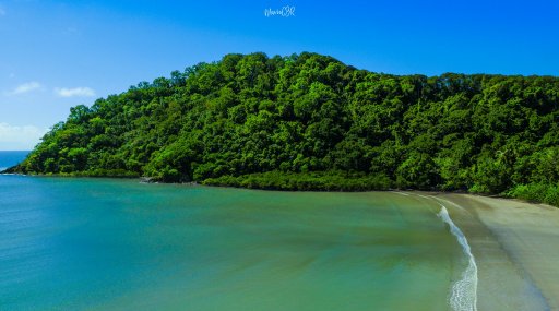 Daintree low beach shot.jpg