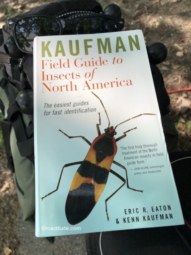 kaufmans-field-guide_1441-800.jpeg