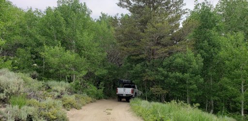 Dunderberg Trail - Aspen.jpg