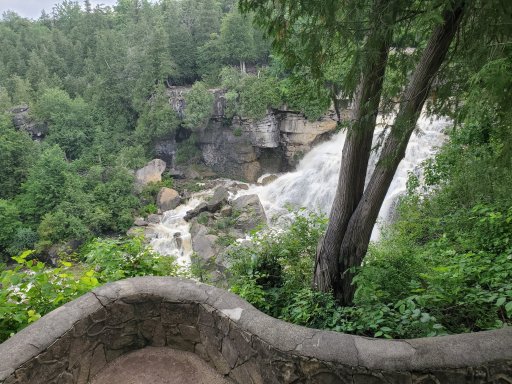 20210628_080031.jpg