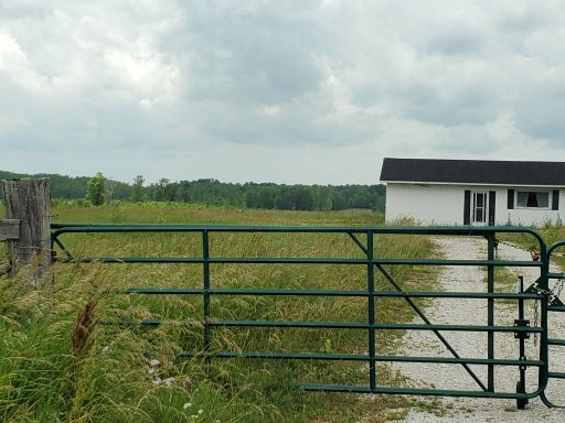 20210627_143015.jpg