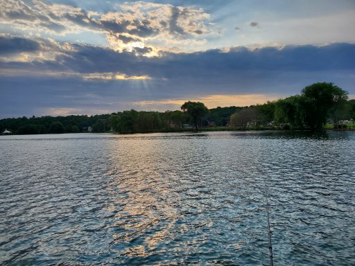 20210811_075217.jpg