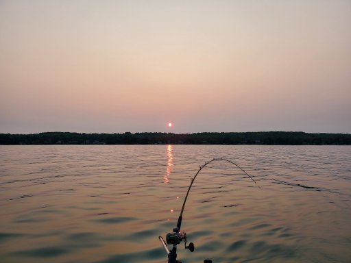 20210727_202518.jpg