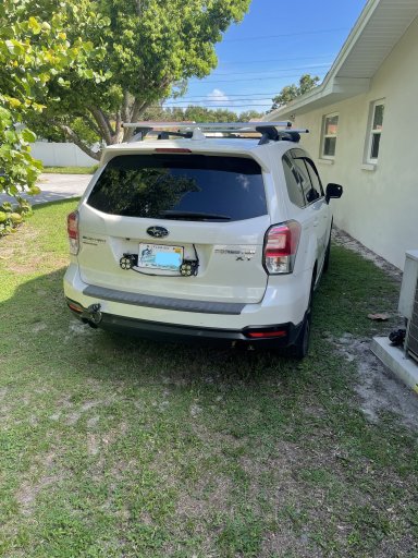 2 Rear clean.jpg