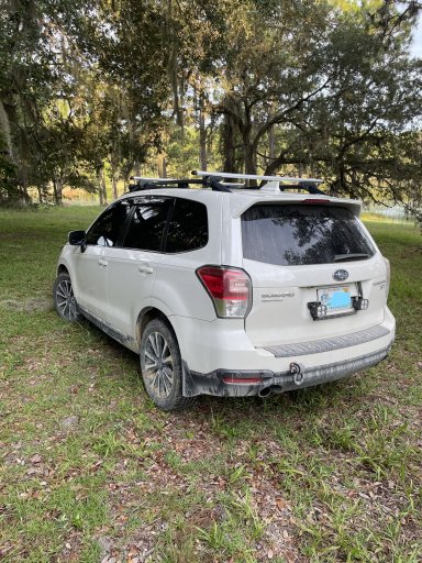5 rear with raceways.jpg