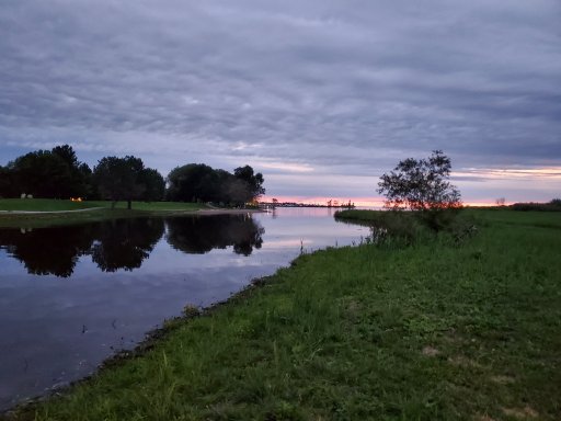 20210912_063913.jpg