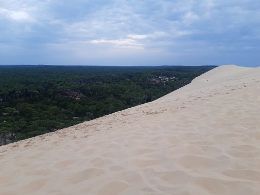 DuneTop_BE.jpg